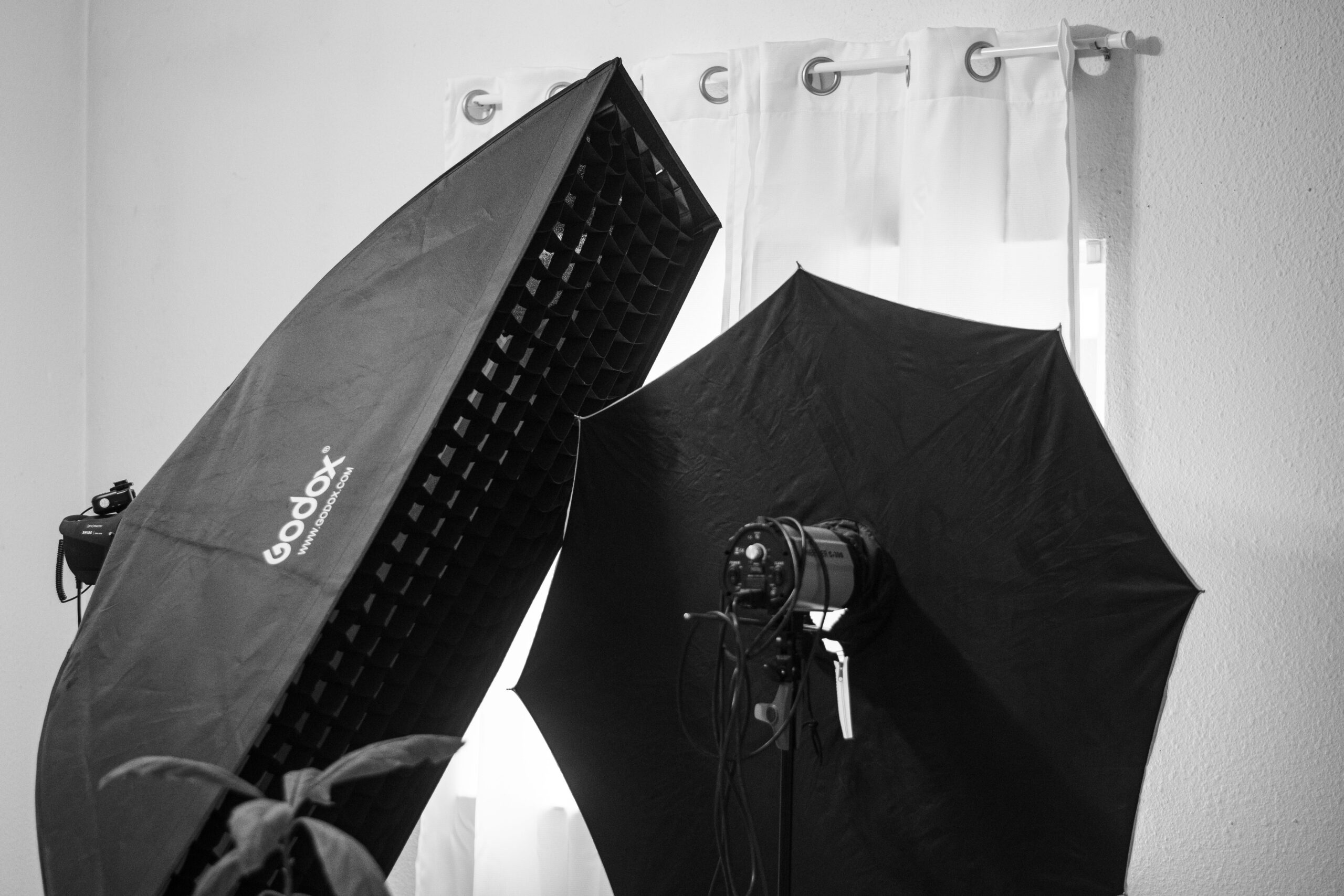 Photography softboxes used at BadBoy Photography in Boise, Idaho. Nude photography taken by BadBoy Photography in Boise, Idaho